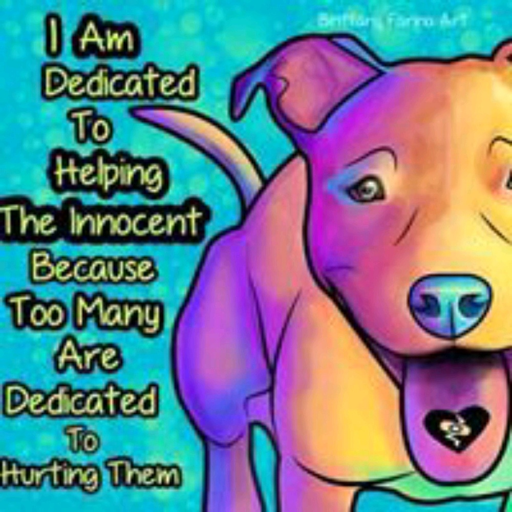 Meet your Posher, Mara